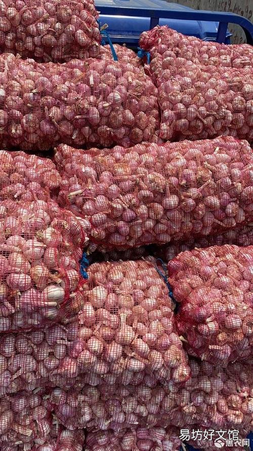 邳州大蒜最新價(jià)格行情指南，了解大蒜市場(chǎng)趨勢(shì)與價(jià)格變動(dòng)