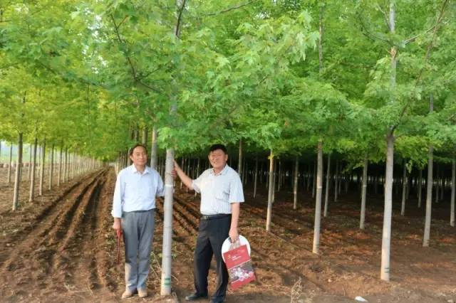 智能苗木管家，科技引領(lǐng)綠色新生活，最新苗木求購(gòu)消息一網(wǎng)打盡