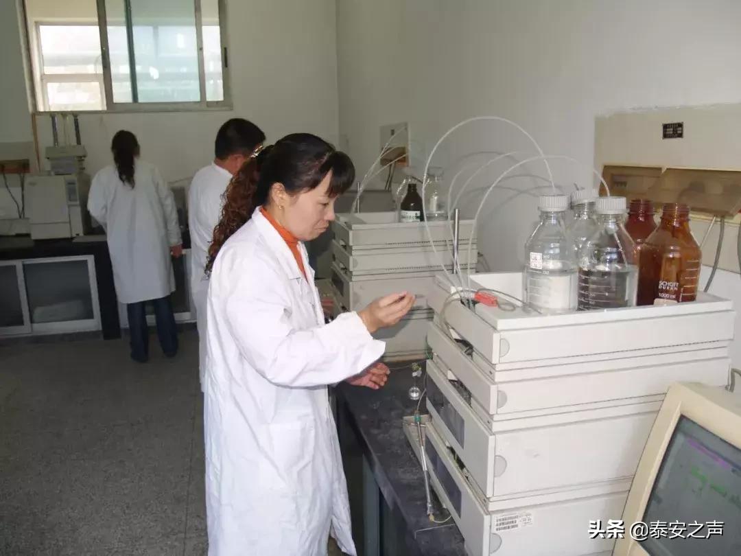 化工最新招聘，友情與夢想的啟程之旅