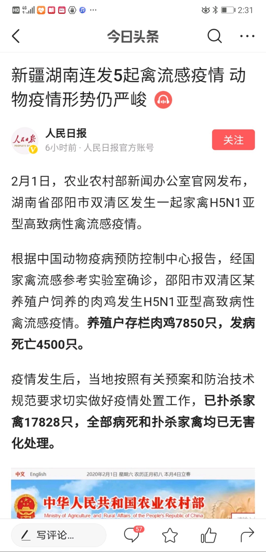 禽流感最新動態(tài)與全面應(yīng)對步驟指南