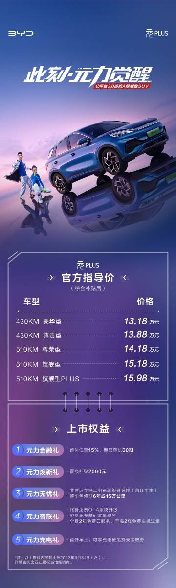 花冠最新報(bào)價(jià)及市場趨勢解析，為您呈現(xiàn)最新價(jià)格動(dòng)態(tài)