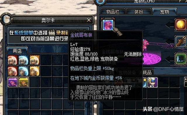 DNF最新寵物重磅上線，科技之巔，極致體驗寵物的誕生