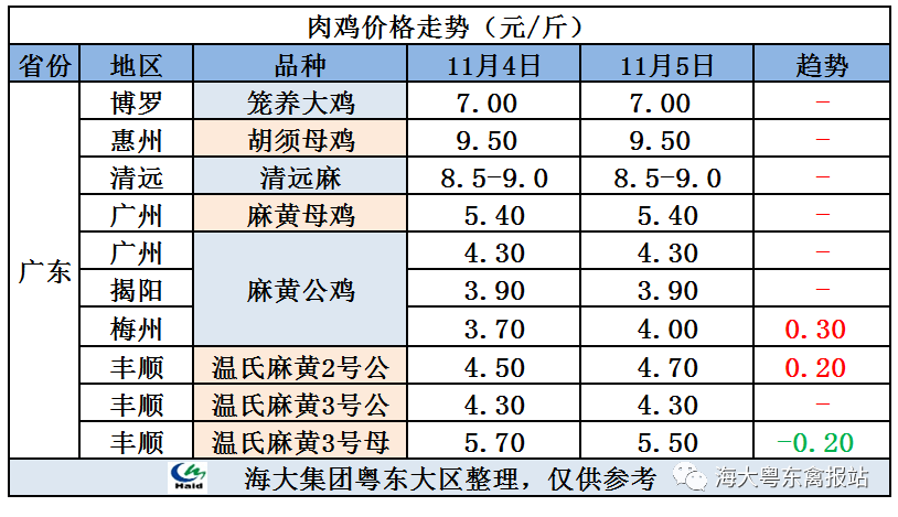 廣東雞價(jià)最新行情，心靈與自然的旅行交響曲