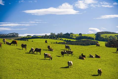 時代見證，最新牧場及其背景與重大事件概覽