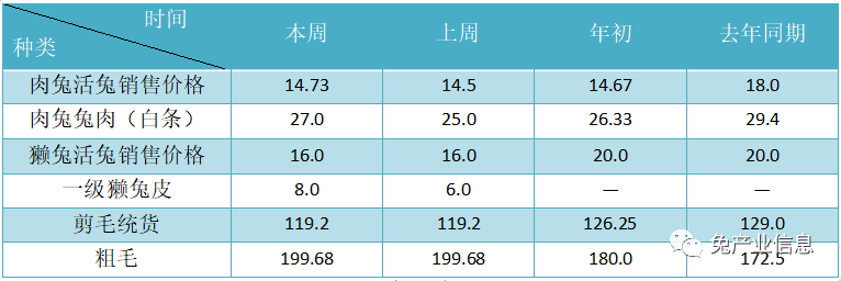 獺兔價格最新行情揭秘，溫情故事在兔子洞展開
