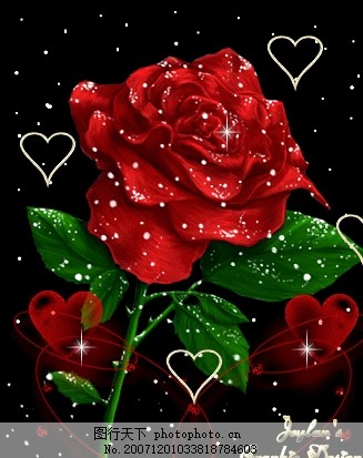 科技與藝術(shù)完美融合，最新玫瑰花閃圖欣賞