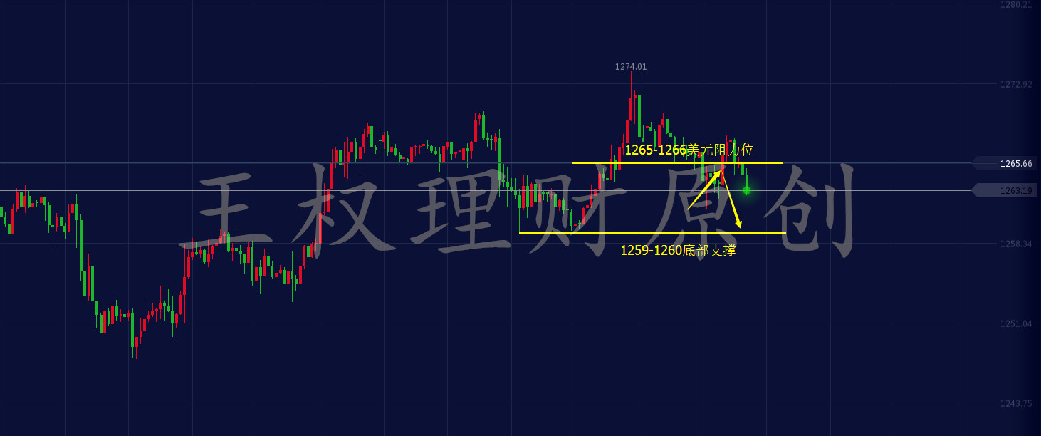 牛刀2025最新消息與友情的溫馨故事