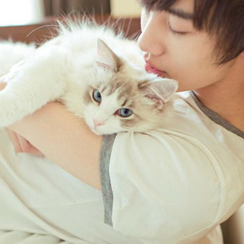 溫馨抱貓日常，最新流行情頭，感受人與貓的深情瞬間