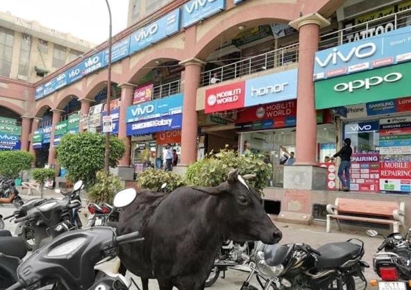 部落沖突OPPO最新版深度解析，優(yōu)劣與我的觀點分享