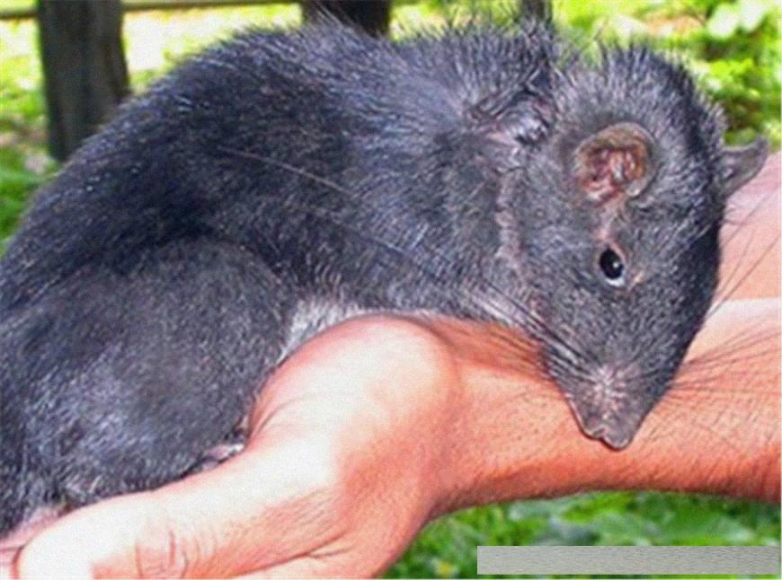 穿越火線4月探索自然美景活動，尋找內(nèi)心的平和與寧靜之旅