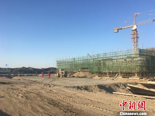 唐山豐南港最新動(dòng)態(tài)，港口邊的溫情故事