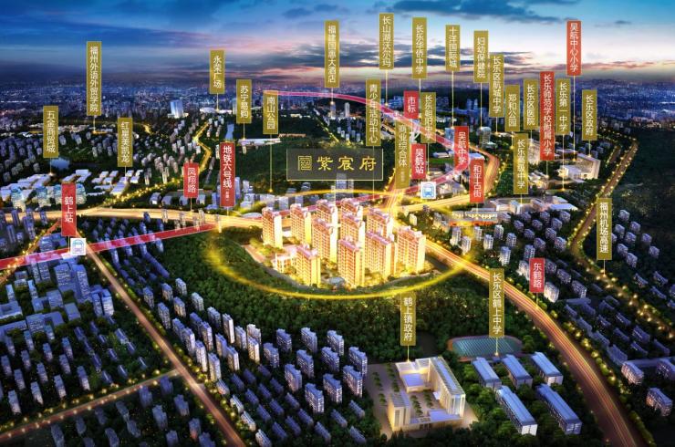 長樂游梅文最新動態(tài)，文化與自然的交融辯論盛宴