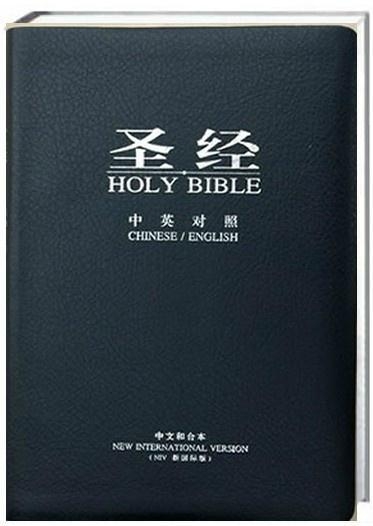 圣經(jīng)最新版本，科技與信仰的交融之作