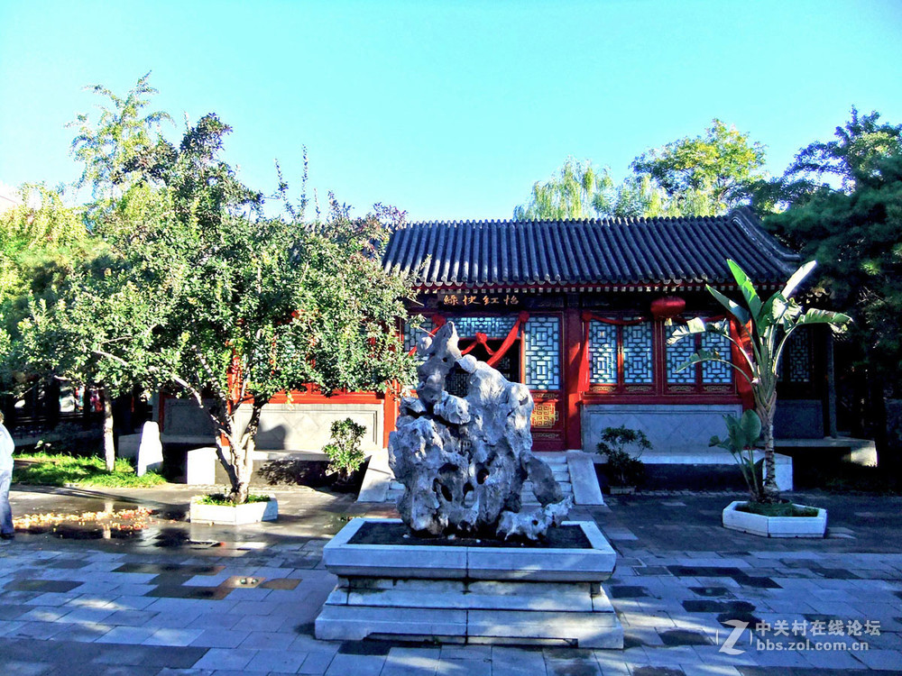 最新怡春院手機在線，日常趣事與情感紐帶連接的世界