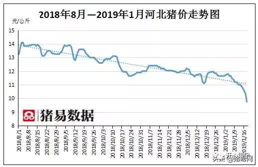 張家口最新豬價(jià)動(dòng)態(tài)分析與趨勢(shì)預(yù)測(cè)