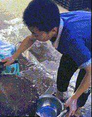 劍客無敵逆天邪神最新章節(jié)探秘，逆天劍意之征途