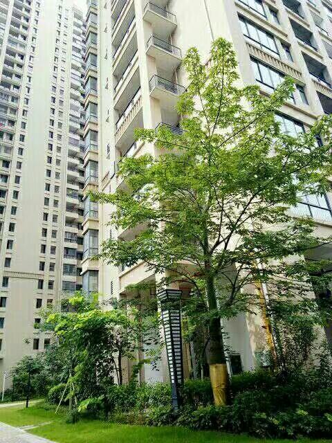 力沃幸福里最新動(dòng)態(tài)，學(xué)習(xí)變化，成就自信與幸福之源