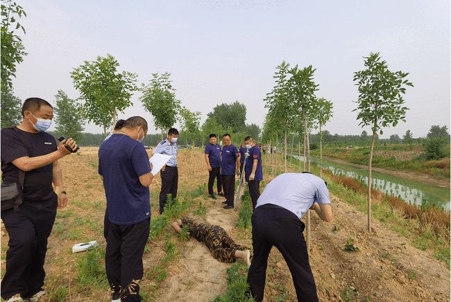 茄子河最新棚改消息深度分析與觀點闡述