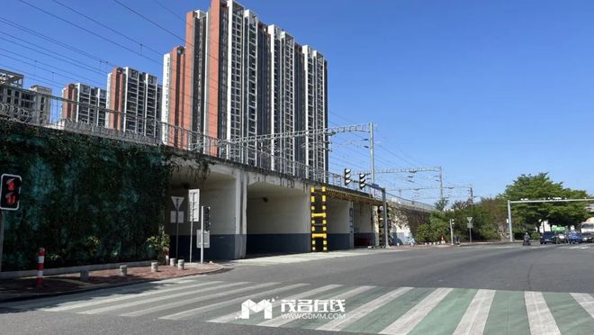 茂名最新動態(tài)，蓬勃發(fā)展的城市關(guān)注焦點(diǎn)