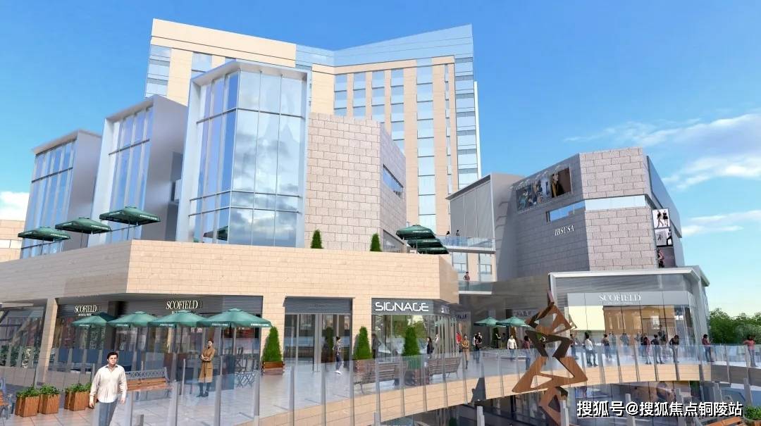 木心最新動態(tài)，探索藝術(shù)與生活的新篇章