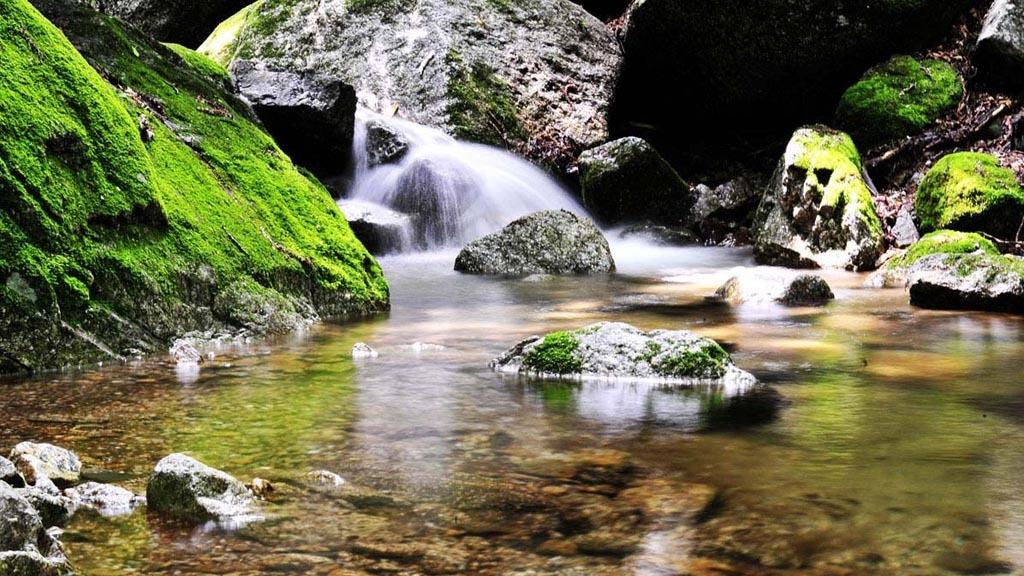 丹東最新招聘信息與自然美景探索，啟程尋找內(nèi)心的寧靜在58同城