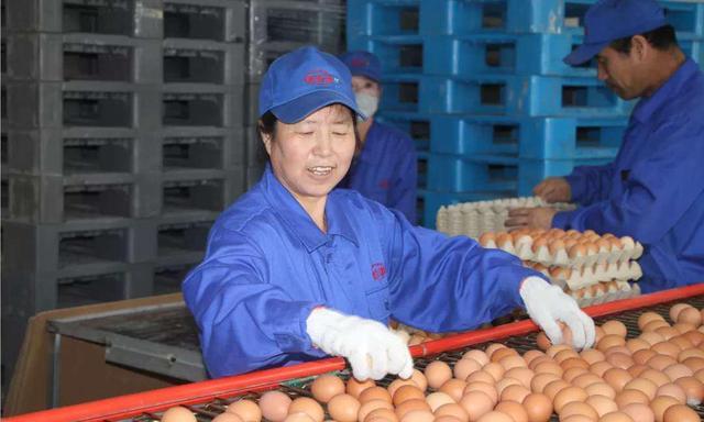 太仆寺旗寶昌最新房?jī)r(jià)，家的溫暖與房地產(chǎn)市場(chǎng)動(dòng)態(tài)