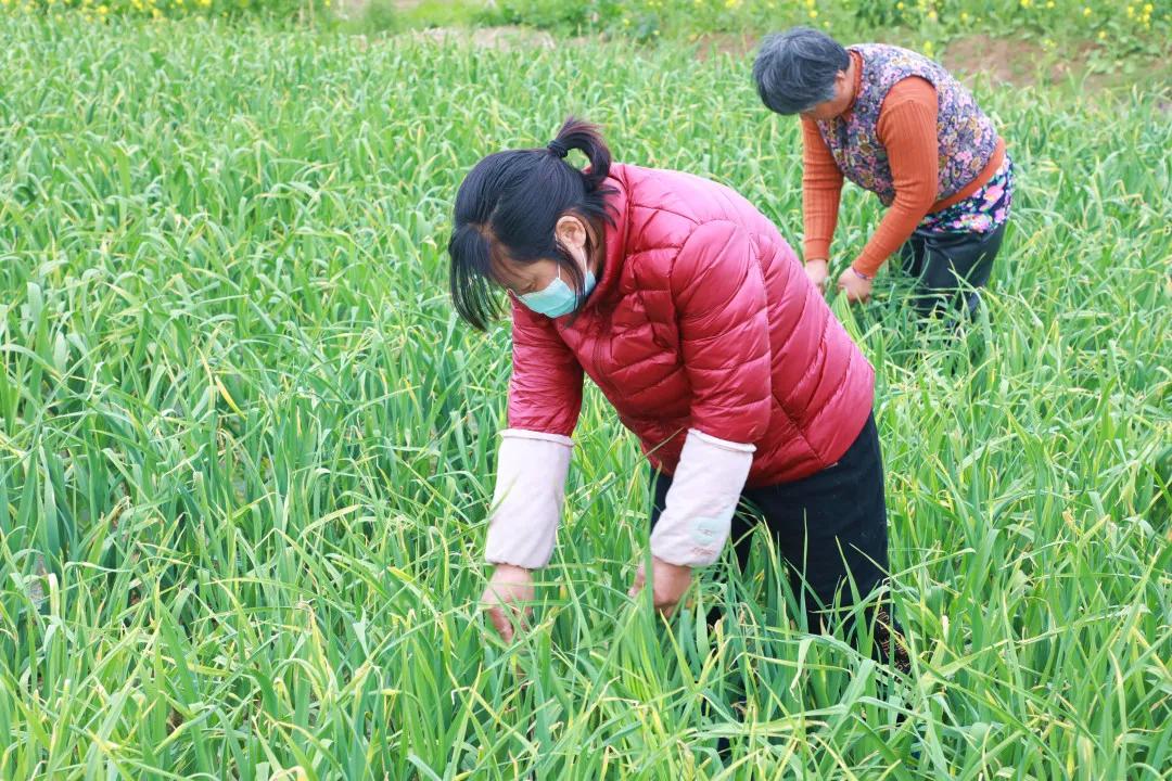 徐州豐縣最新招工信息一覽，獲取指南與招聘信息匯總