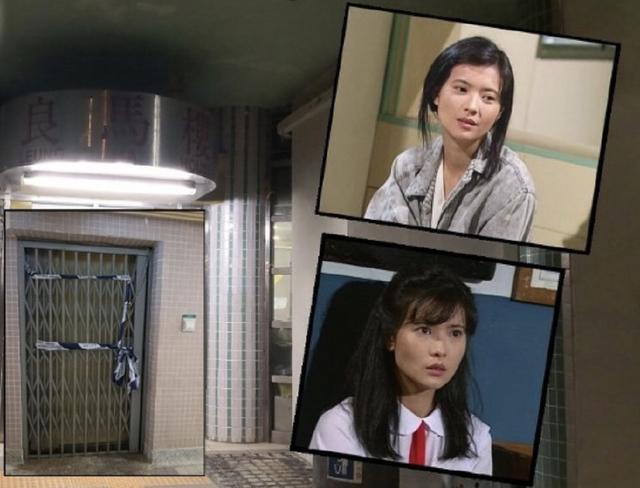 藍(lán)潔瑛最新消息2025，變化中的學(xué)習(xí)賦予自信與成就的力量