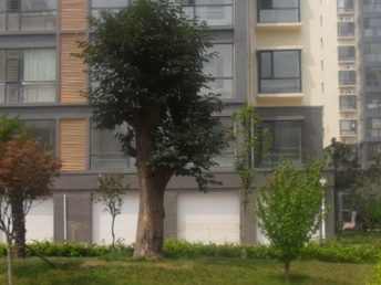 臨沭租房最新信息大全，便捷生活從此開(kāi)始