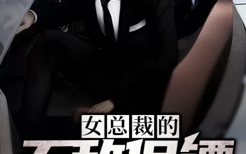 唐心怡蘇浩然小說最新進展深度解析，新篇章揭秘