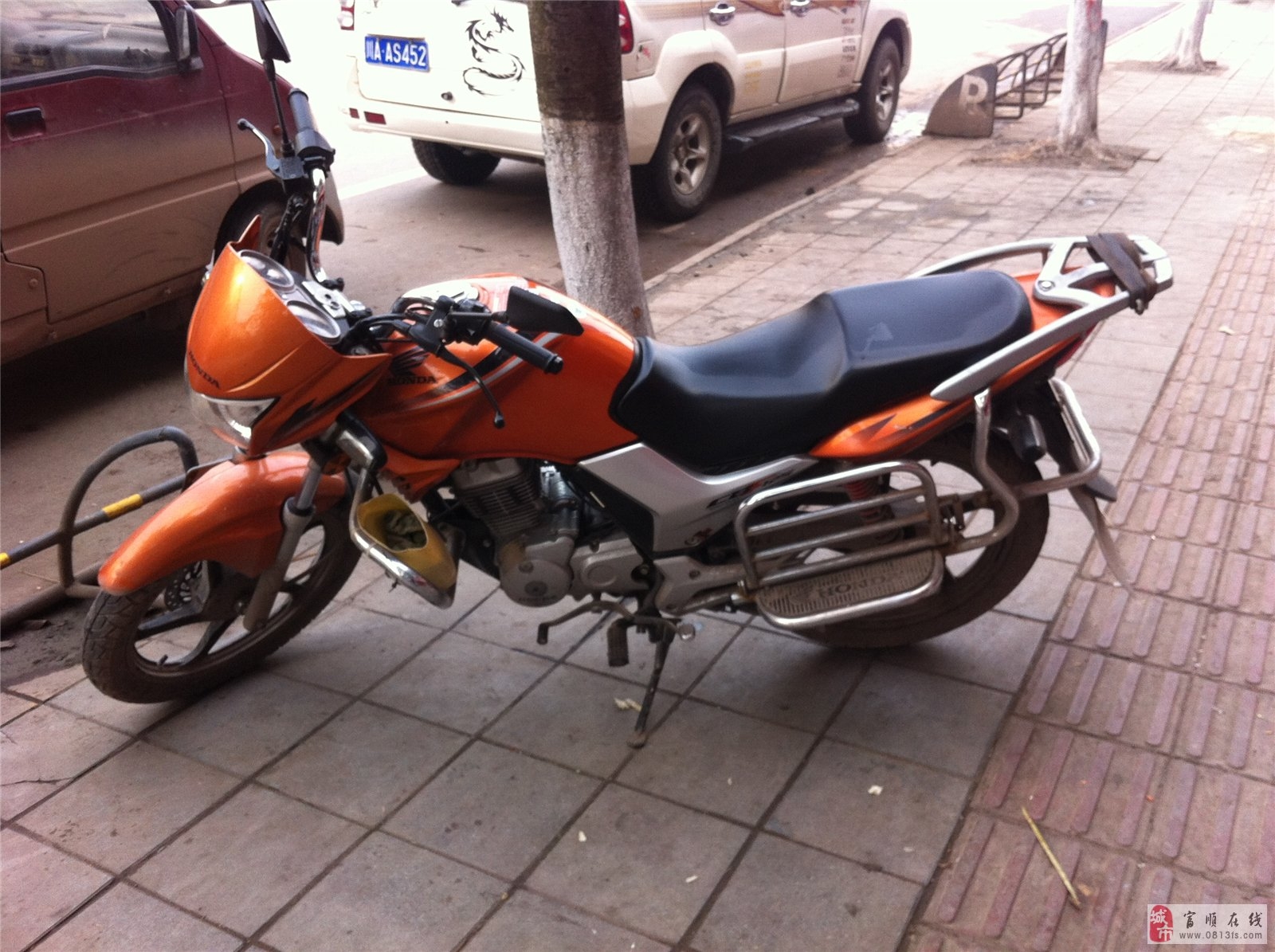 本田小戰(zhàn)鷹最新款，全面觀點論述與深度解析