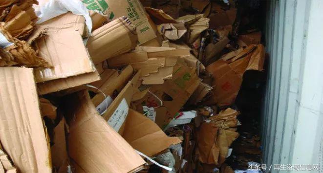 進口廢紙最新政策下的隱秘寶藏探索，特色小店探秘之旅