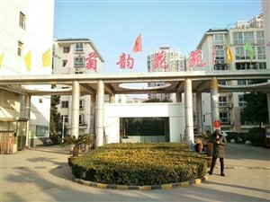 最新社旗獨家小院出售，市場趨勢、正反觀點分析與個人立場探討