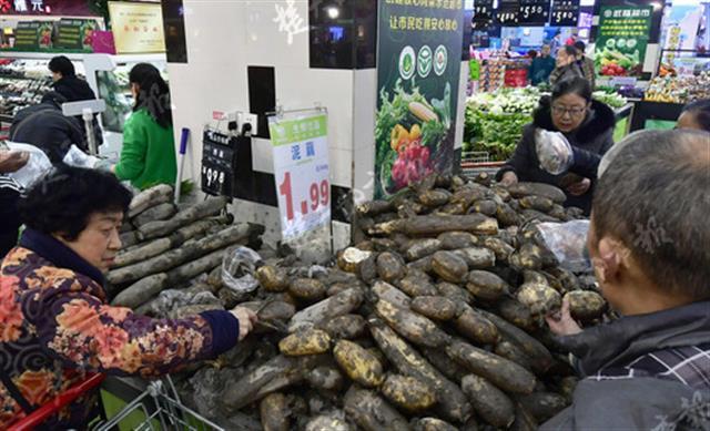 今日包菜價格行情更新