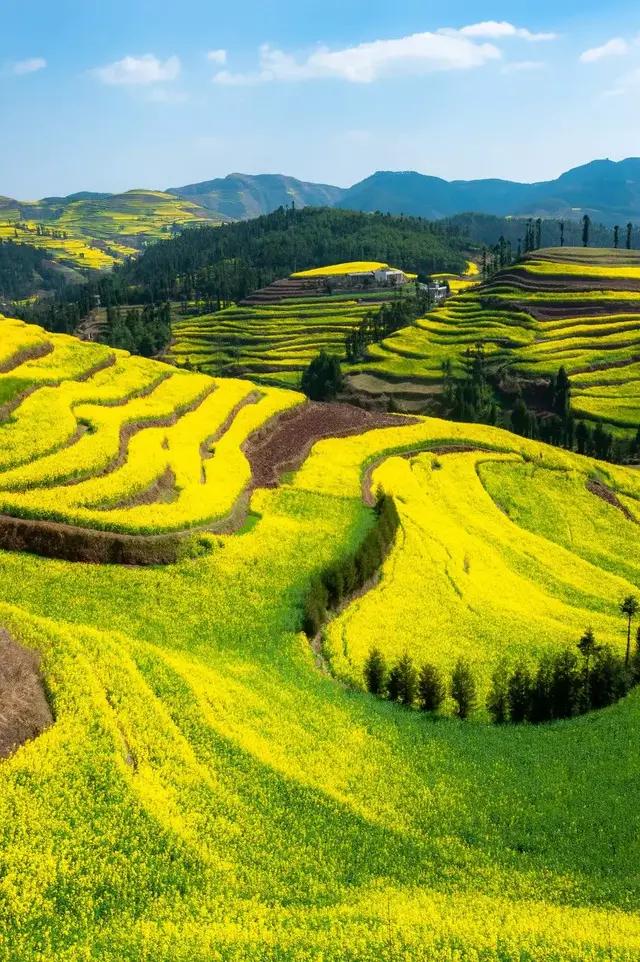 最新天下男修皆浮云資訊