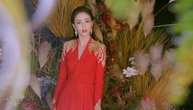 佟麗婭最新新聞，獲取與解讀明星資訊的步驟指南