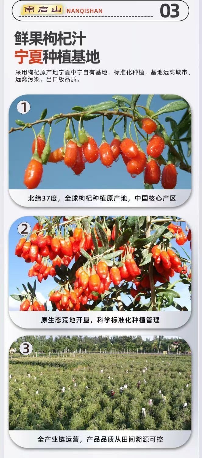 最新枸杞苗收購(gòu)信息匯總