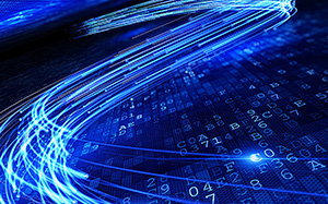 山東德州毛豬價格動態(tài)，機遇與自我超越的征程