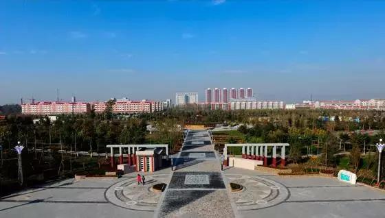 河北大蒜最新價(jià)格行情動態(tài)更新????