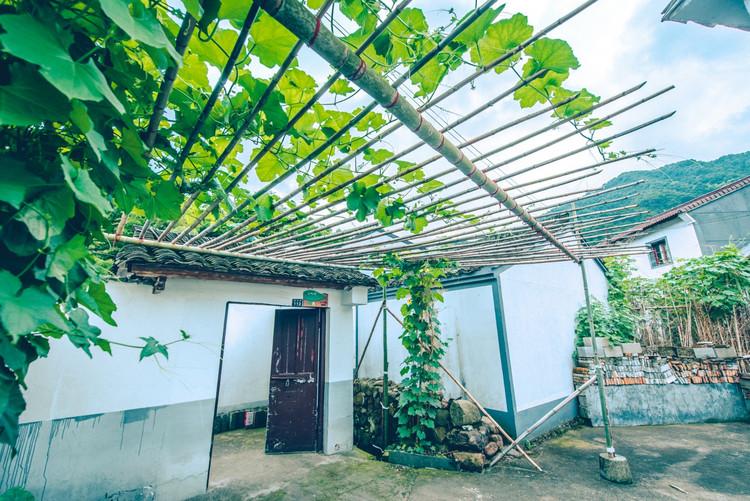 神級茶人最新章節(jié)，探尋自然美景之旅，追尋內(nèi)心平靜之道