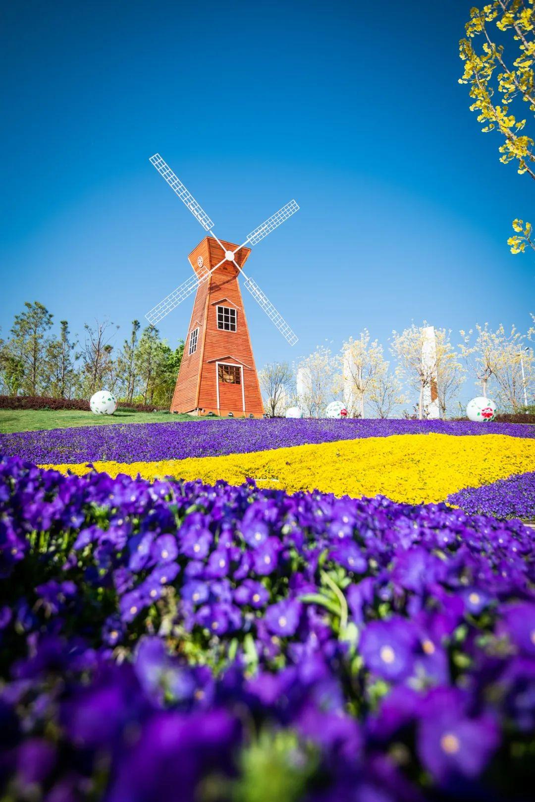 滎陽(yáng)市最新房?jī)r(jià)動(dòng)態(tài)，時(shí)代印記與城市的脈絡(luò)