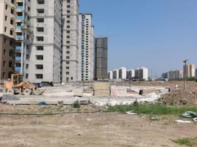 荊州農(nóng)高區(qū)最新動(dòng)態(tài)，引領(lǐng)農(nóng)業(yè)現(xiàn)代化新篇章