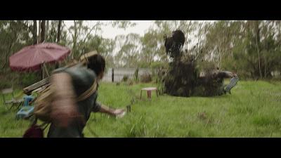 自然共舞的心靈之旅，最新狗狗電影鼓舞人心