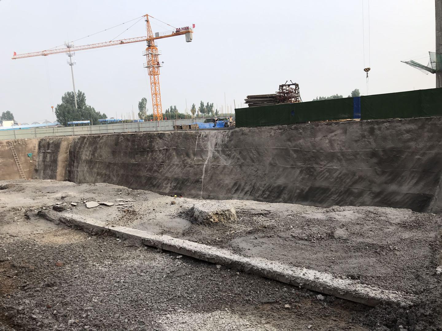 鵬洲麗城最新動態(tài)揭秘，小巷中的隱藏瑰寶