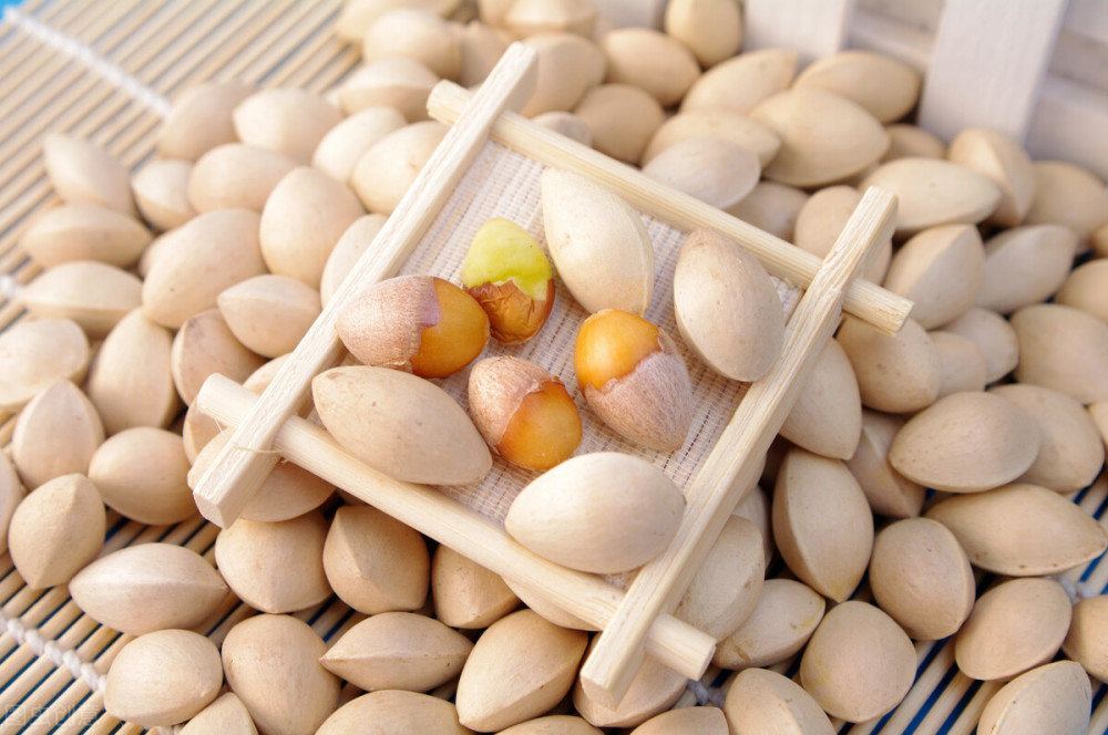 湖北麻城白果最新資訊更新