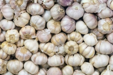 杞縣大蒜今日最新價(jià)格行情