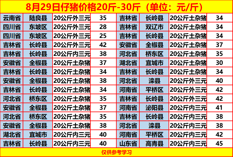 土雜豬最新價(jià)格動(dòng)態(tài)，一場(chǎng)尋找內(nèi)心平靜的旅程
