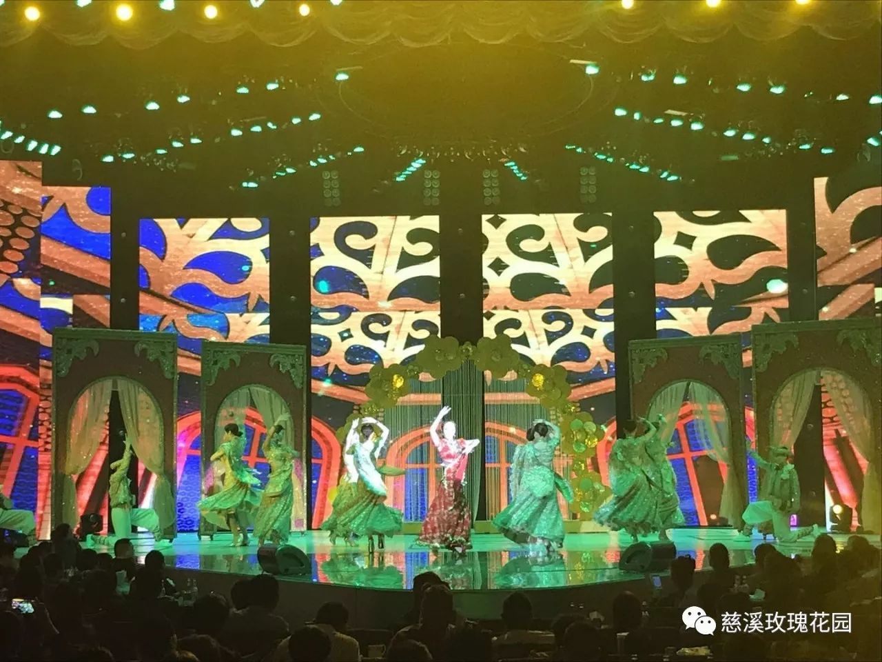 慈溪玫瑰花園最新視頻，綻放的玫瑰盛世美景