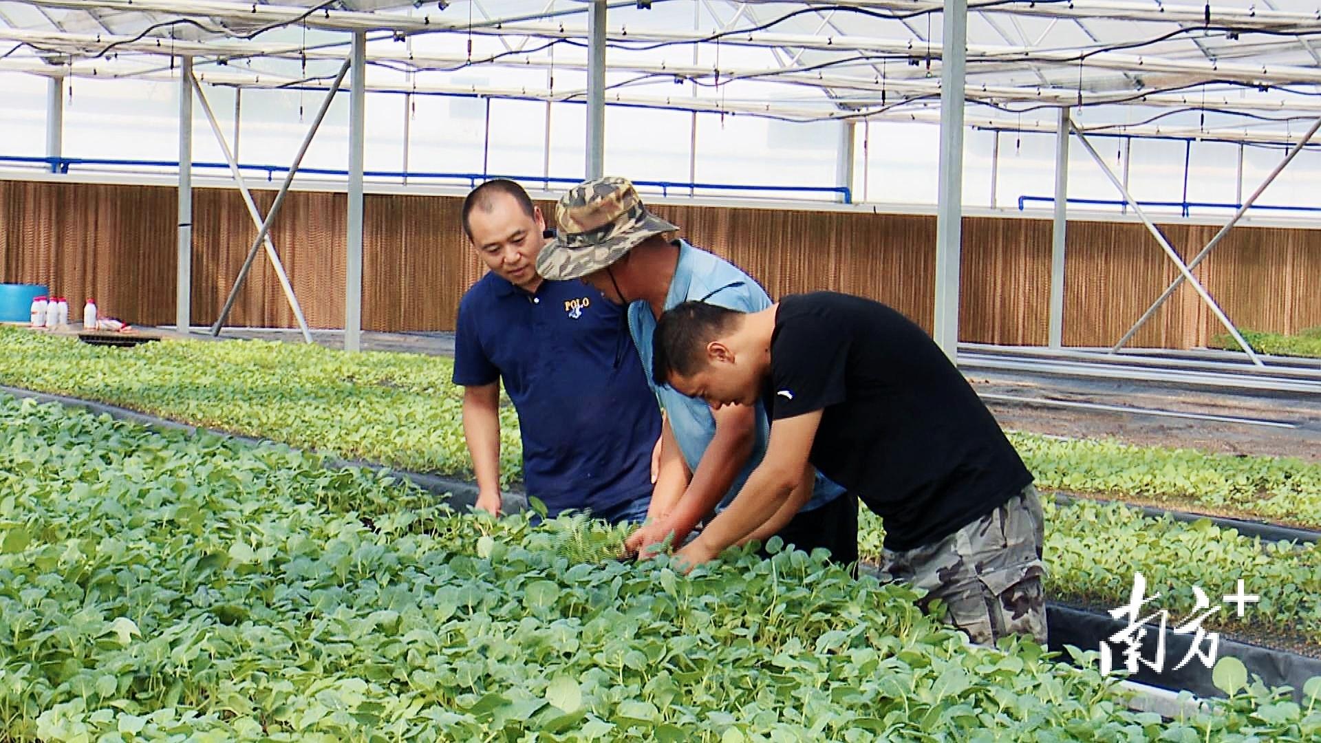 辦公打印 第4頁(yè)