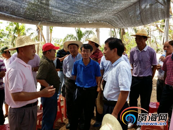 海南朱華友的最新動(dòng)態(tài)，成就概覽與未來展望